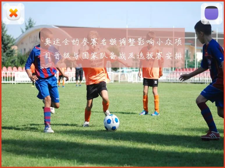 奥运会的参赛名额调整影响小众项目晋级与国家队备战及选拔赛安排